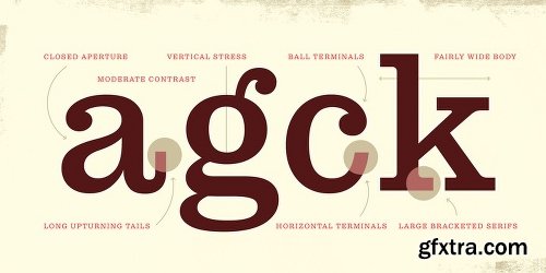 Pulpo Font Family - 10 Fonts