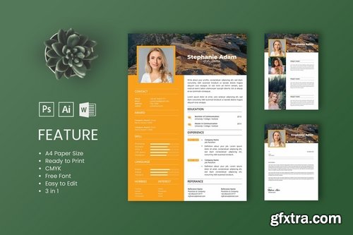 Professional CV And Resume Templates 2