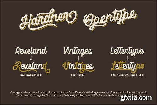 Hardner Font Family - 2 Fonts[