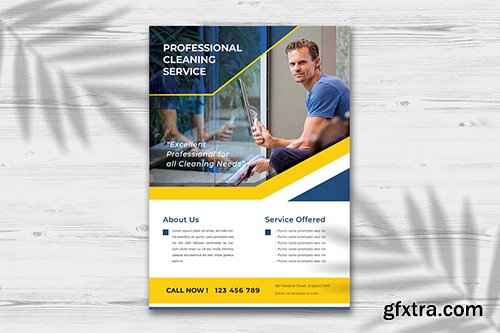 Professional Cleaning Service