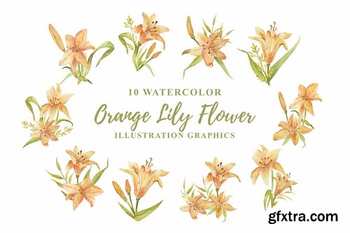 10 Watercolor Orange Lily Flower Illustration