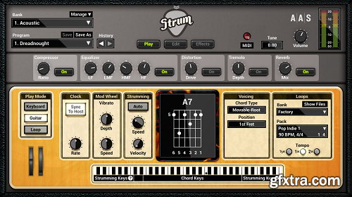 Applied Acoustics Systems STRUM GS-2 v2.4.4