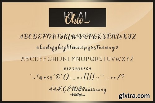 Real Ohio Font Duo