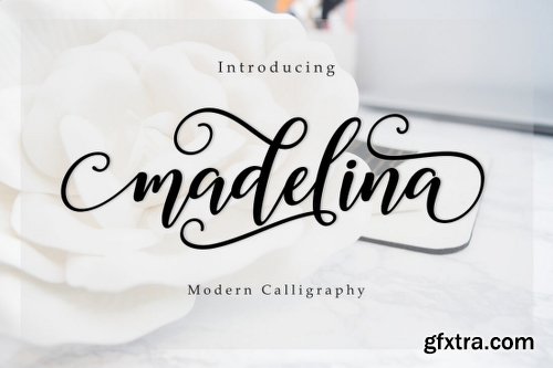 The Amarlettering Bundle of 16 Modern Script Fonts