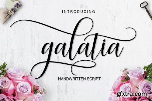 The Amarlettering Bundle of 16 Modern Script Fonts