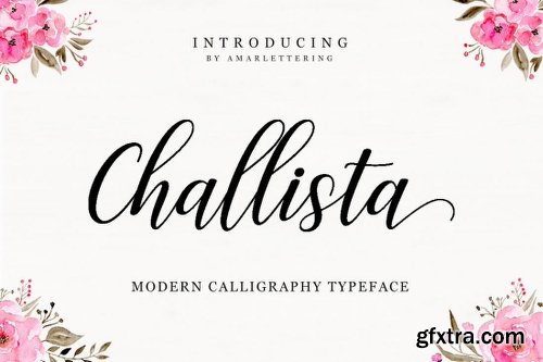 The Amarlettering Bundle of 16 Modern Script Fonts