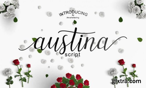 The Amarlettering Bundle of 16 Modern Script Fonts