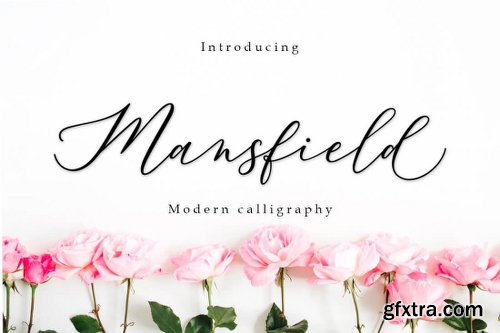 The Amarlettering Bundle of 16 Modern Script Fonts