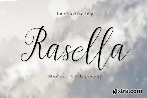 The Amarlettering Bundle of 16 Modern Script Fonts