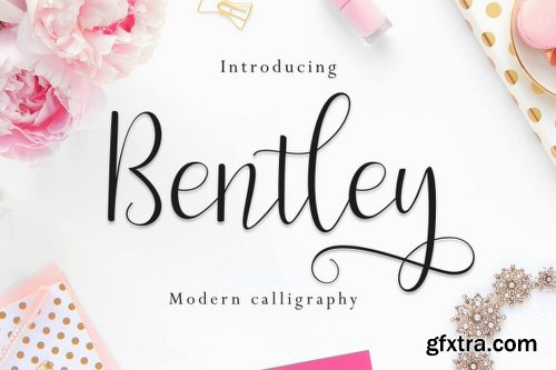 The Amarlettering Bundle of 16 Modern Script Fonts