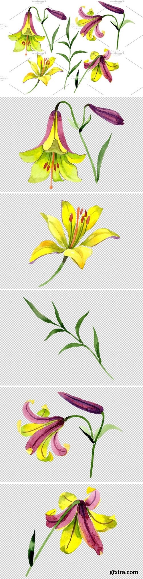 CM - Wildflower lemon lily PNG watercolor 3050355