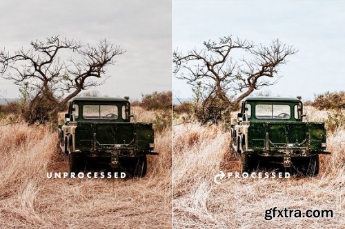 CreativeMarket - Wild Safari Lightroom Presets 3522923