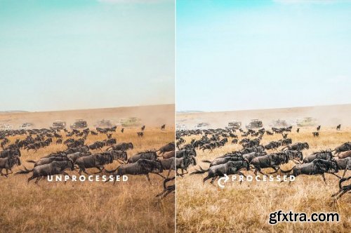 CreativeMarket - Wild Safari Lightroom Presets 3522923