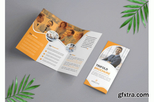 Letter Size trifold Brochure template