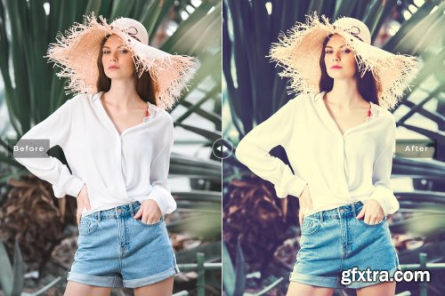 CreativeMarket - Vogue Lightroom Presets Collection 3581776