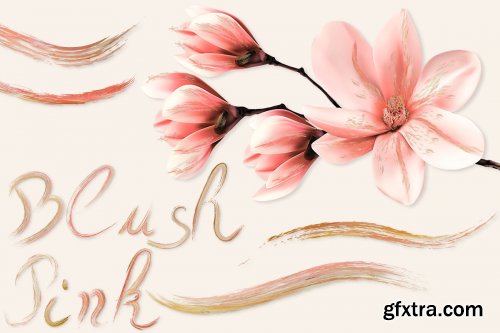 CreativeMarket - Blush Pink Brushes for Illustrator 3595049