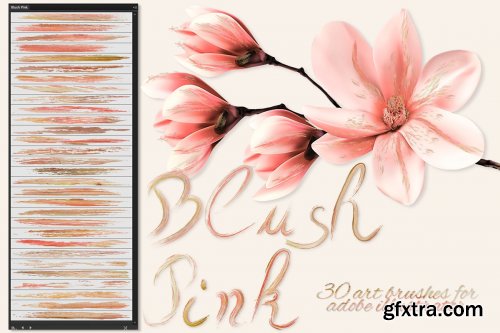 CreativeMarket - Blush Pink Brushes for Illustrator 3595049