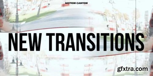 New Transitions 200965