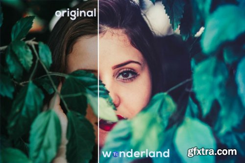 Wonderland Lightroom Presets