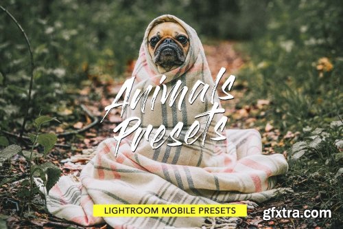 CreativeMarket - Animals Lightroom Presets Bundle 3605043