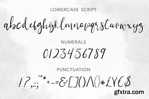 CreativeMarket - Demilo Brush Script With Swashes 3616902