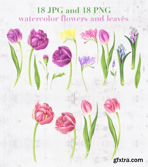 CreativeMarket - Spring Garden Watercolor Set 3605261