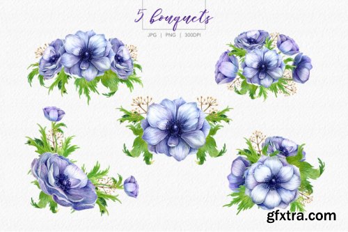 Watercolor anemone set