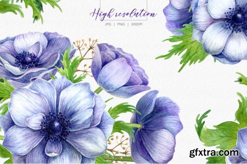 Watercolor anemone set