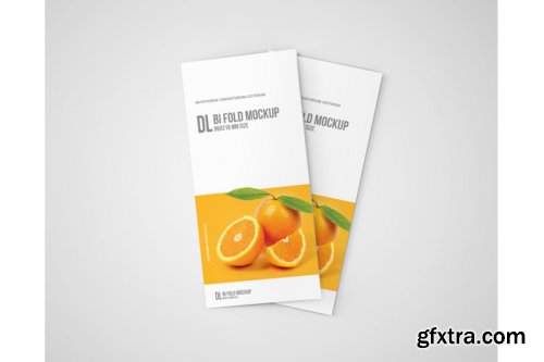 Dl Bi-Fold Brochure Mockup