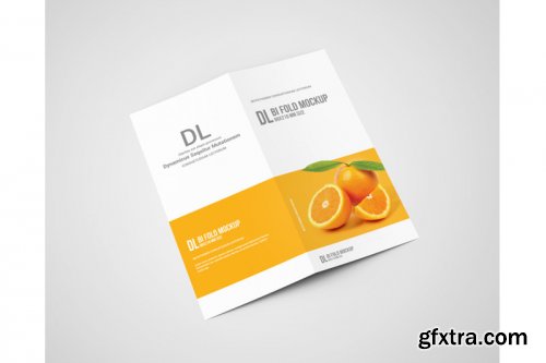 Dl Bi-Fold Brochure Mockup