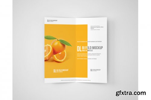 Dl Bi-Fold Brochure Mockup