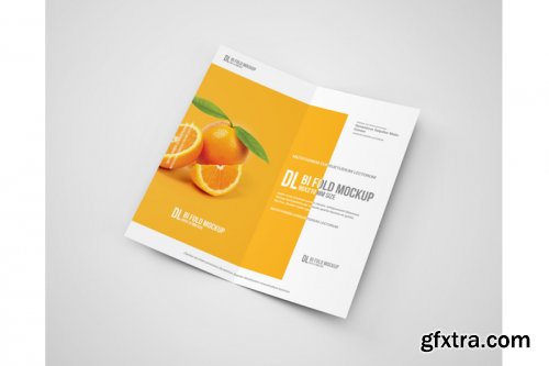 Dl Bi-Fold Brochure Mockup