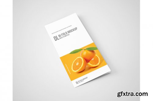 Dl Bi-Fold Brochure Mockup