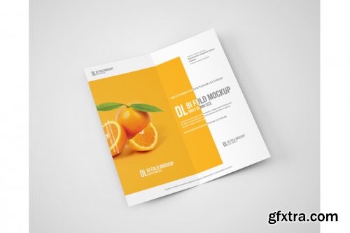 Dl Bi-Fold Brochure Mockup