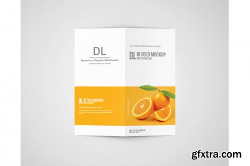 Dl Bi-Fold Brochure Mockup