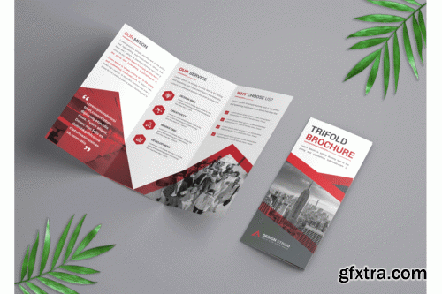 Marketing Trifold Brochure