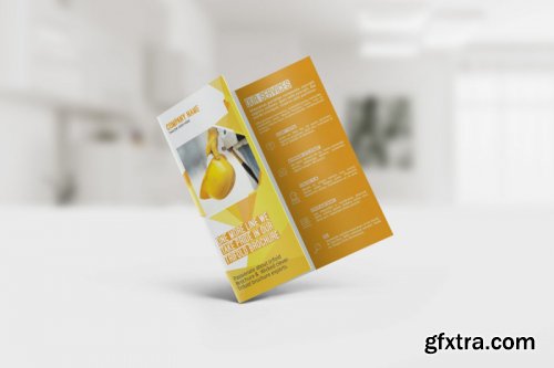 Trifold Brochure