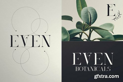 Black Gold Font Family - 2 Fonts