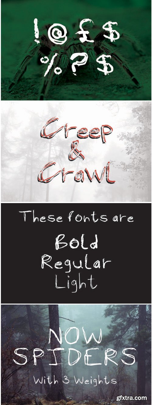 Now Spiders Font