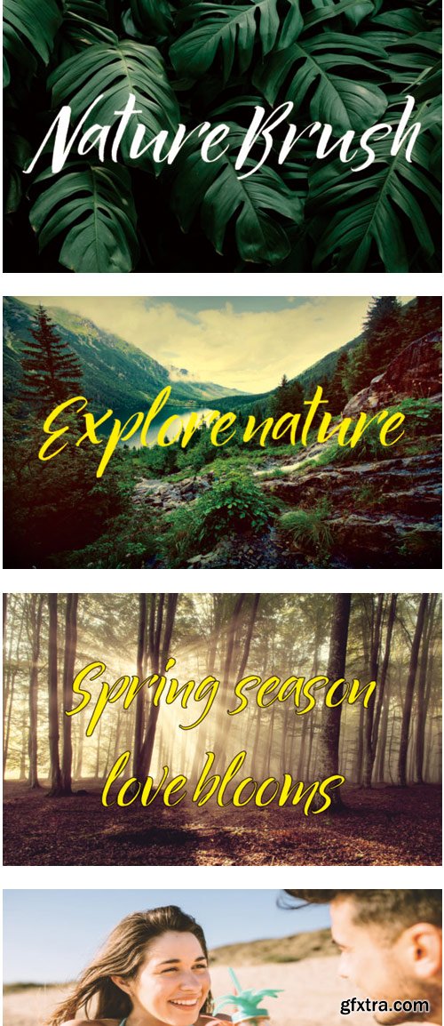 Nature Brush Font