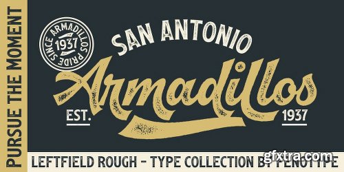 Leftfield Font Family - 12 Fonts