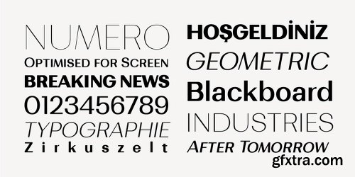 Bodrum Sans Font Family - 20 Fonts