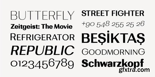 Bodrum Sans Font Family - 20 Fonts