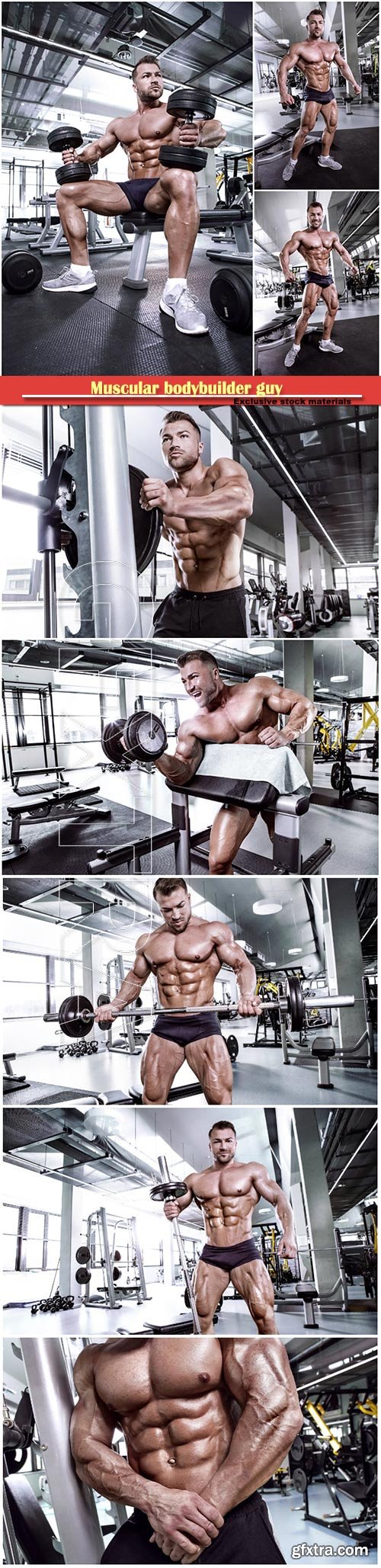 Muscular bodybuilder guy doing exercises with dumbbell