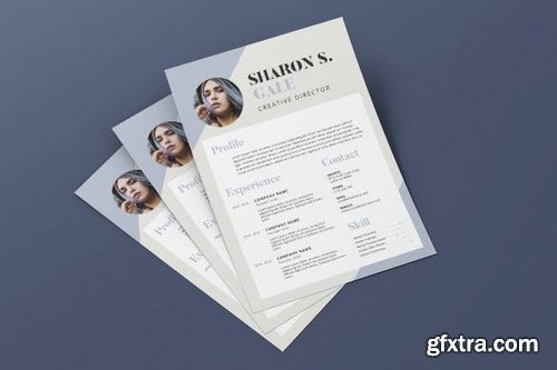 Clean Minimalist CV Resume AI and PSD Flyer Vol.12