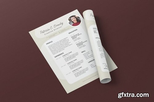 Clean Minimalist CV Resume AI and PSD Flyer Vol.14