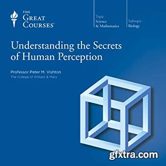 Understanding the Secrets of Human Perception