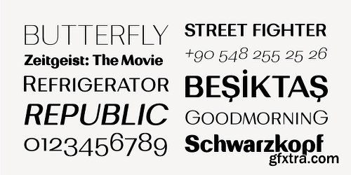 Bodrum Sweet Font Family - 20 Fonts