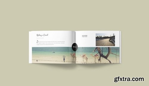 Multipurpose Clean A5 Brochure