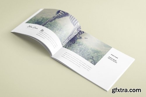 Multipurpose Clean A5 Brochure